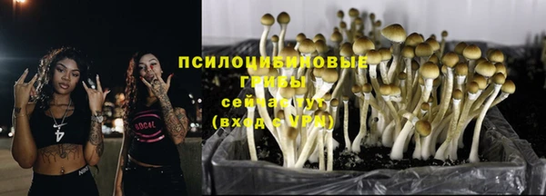 эйфоретик Протвино
