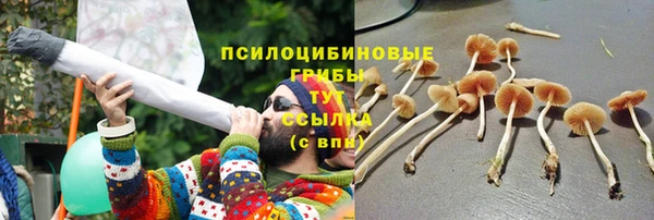 бутират Россошь