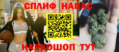 стаф Рязань