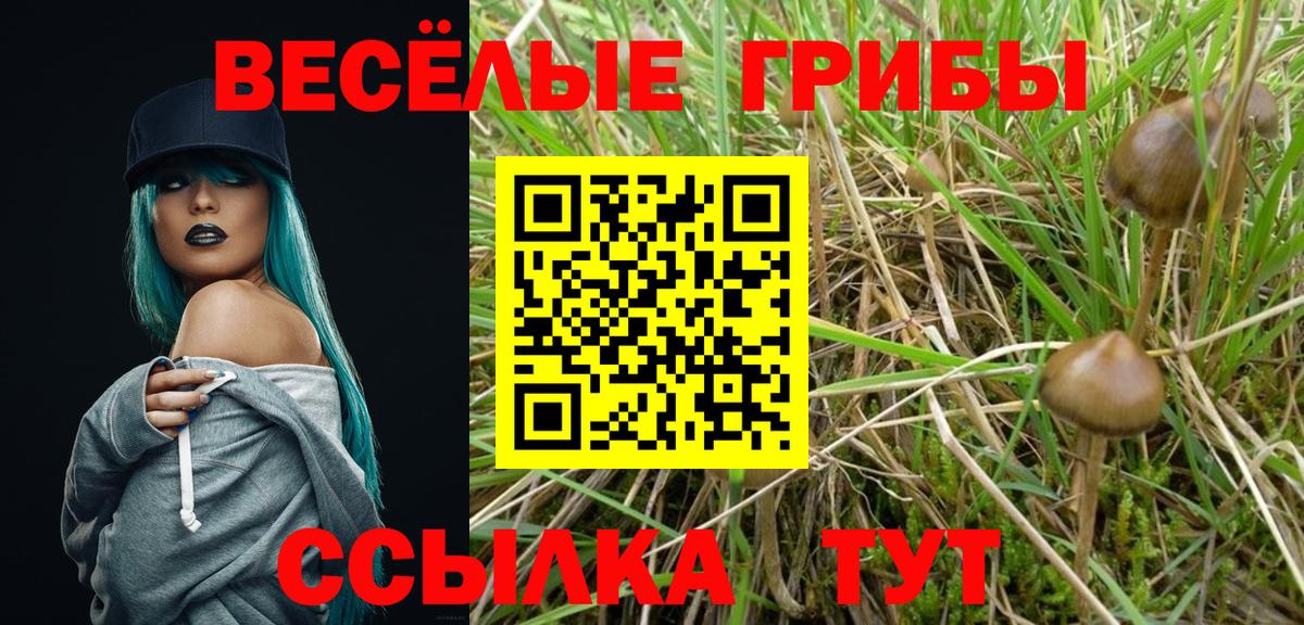 Псилоцибиновые грибы мухоморы Советск