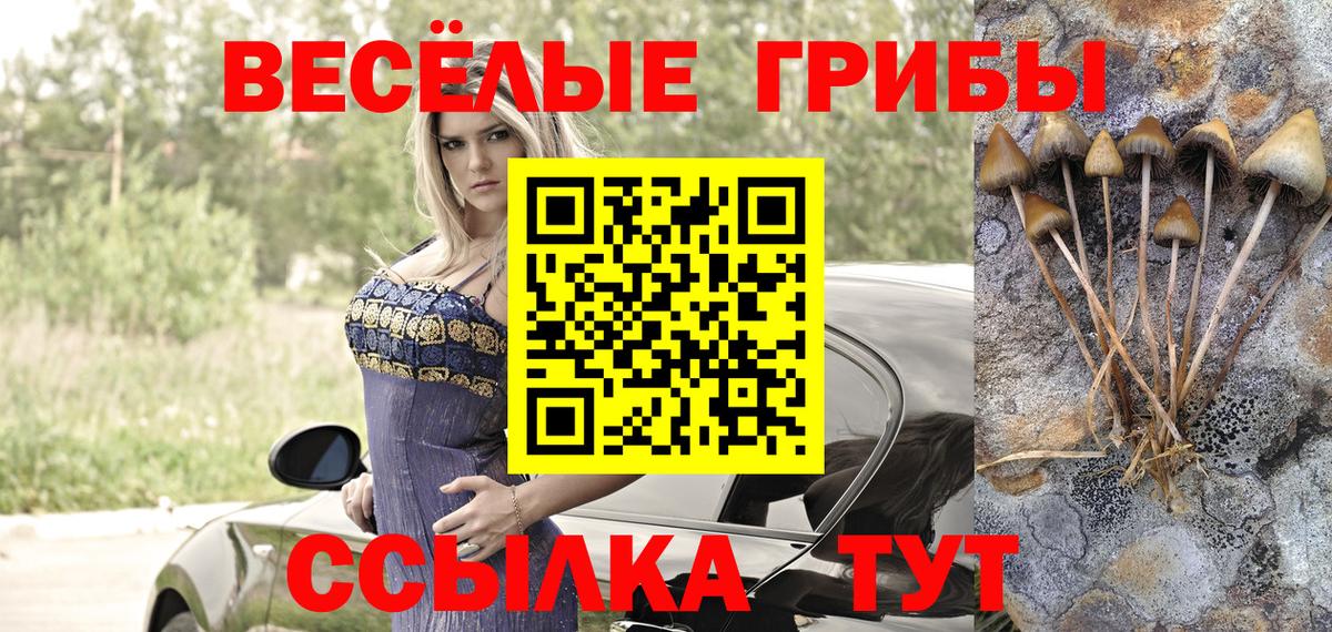 Псилоцибиновые грибы GOLDEN TEACHER  Галлюциногенные грибы мицелий  Вход с VPN  Советск 