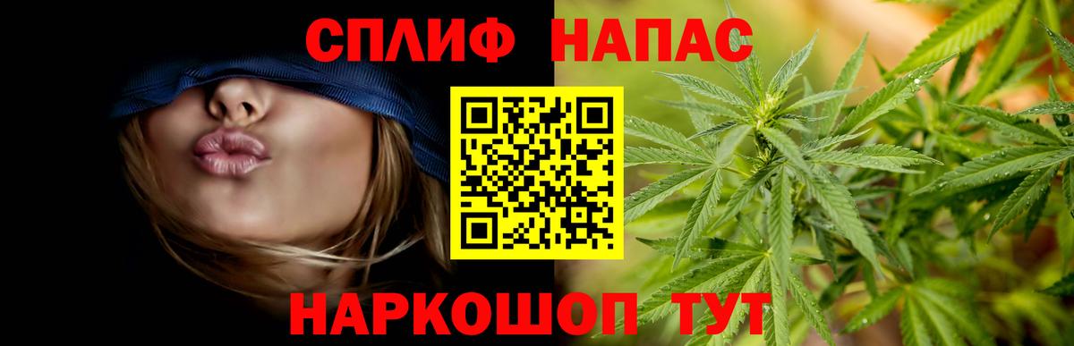 Каннабис конопля Советск